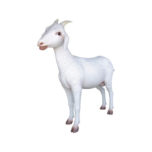 GOAT