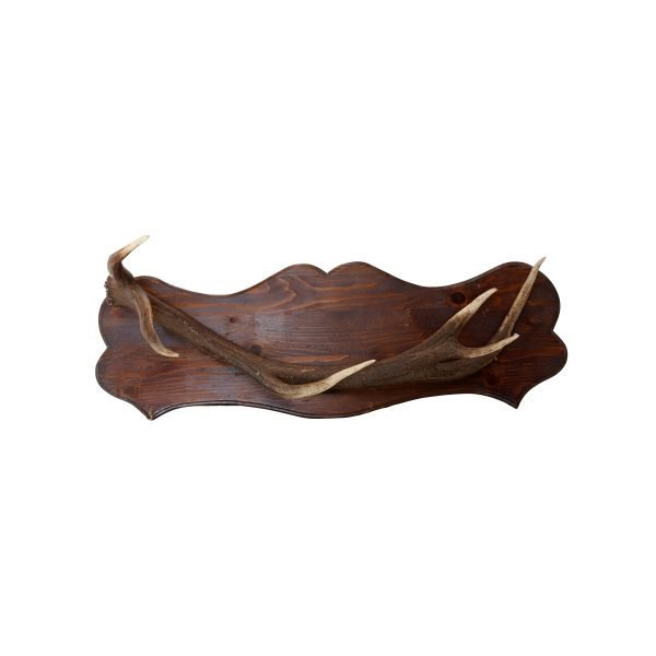 HORNS CLOTH HANGER