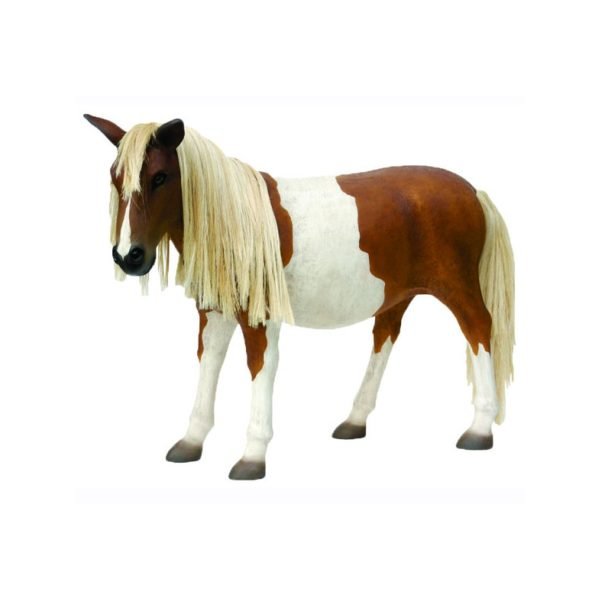 PONY