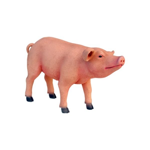 LITTLE PIG