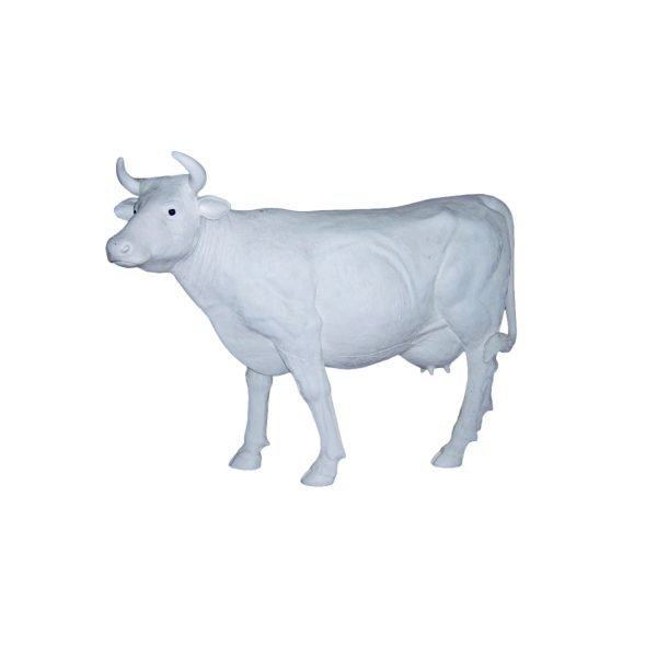 WHITE COW