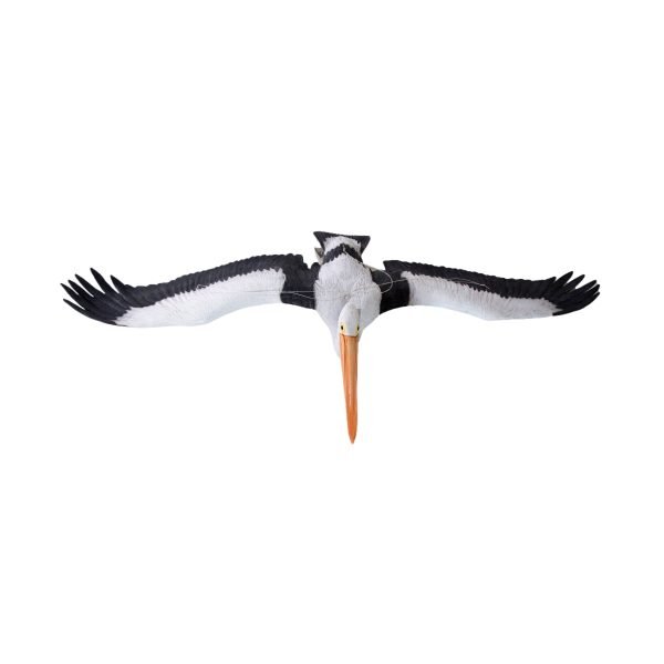 PELICAN