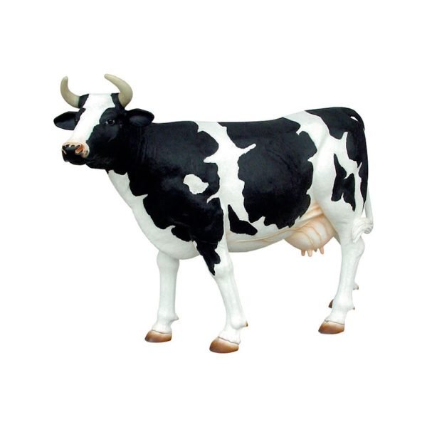 COW HIGH HEAD